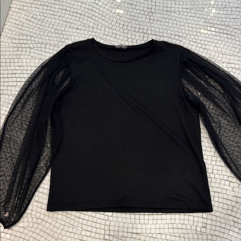 Zara Elegant Black Sheer Sleeve Top